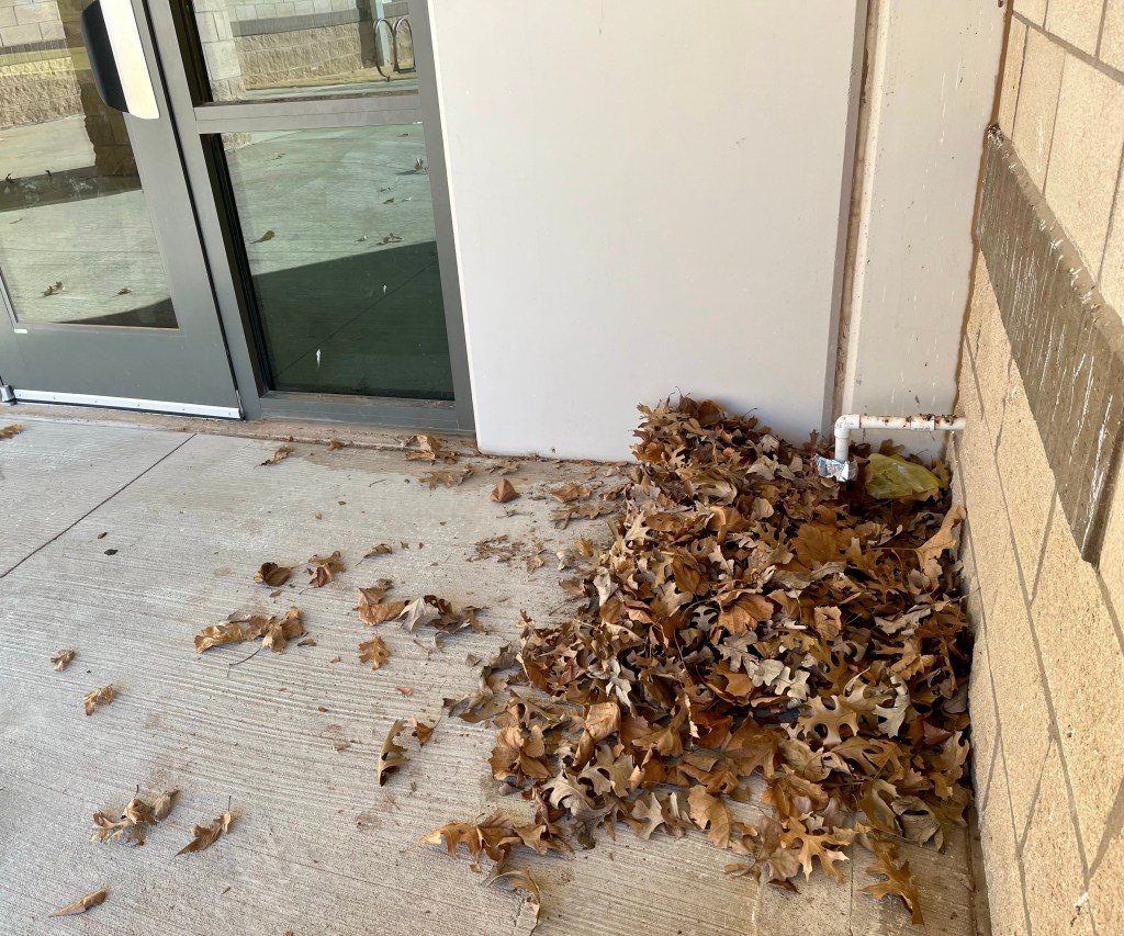 Leaves By the&nbsp;Door