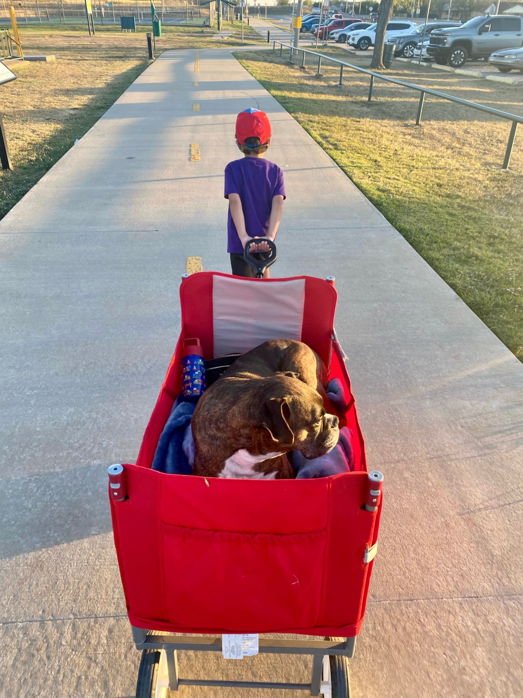 Living to the&nbsp;Max