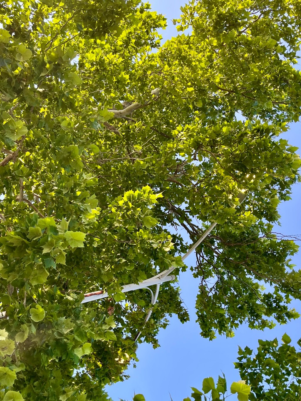 Overcoming Darkness with God’s&nbsp;Light