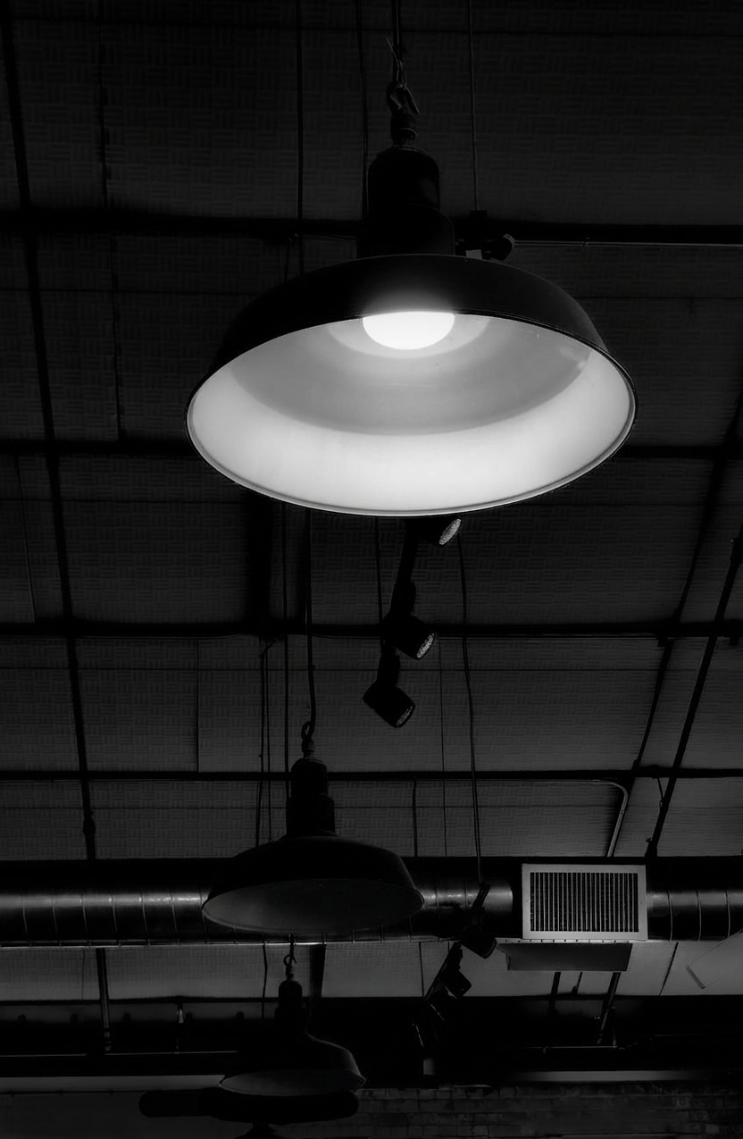 low angle shot of hanging light bulbs